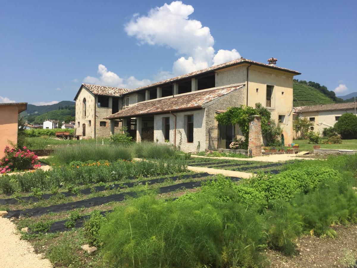 Fiori&Vigne Di Cecilia Marcon Villa Farra di Soligo Exterior photo