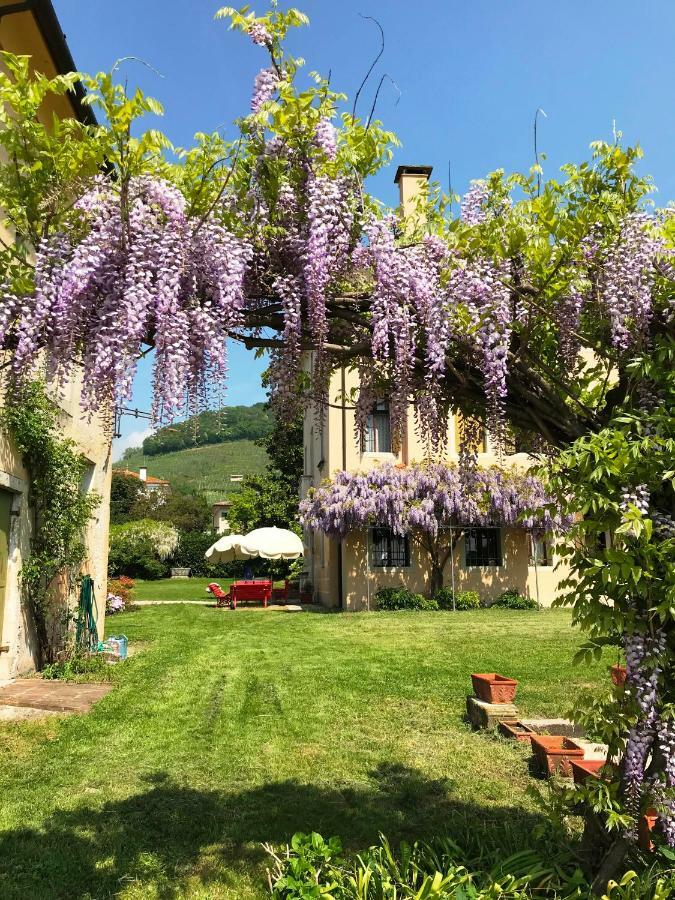 Fiori&Vigne Di Cecilia Marcon Villa Farra di Soligo Exterior photo